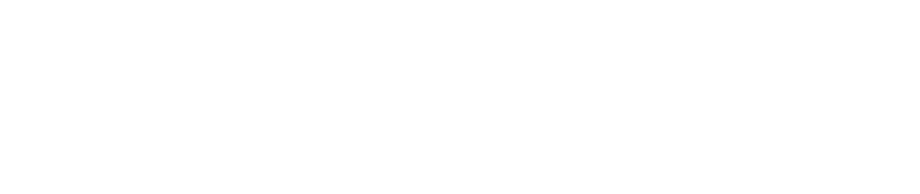 Referenssi: Konevasara